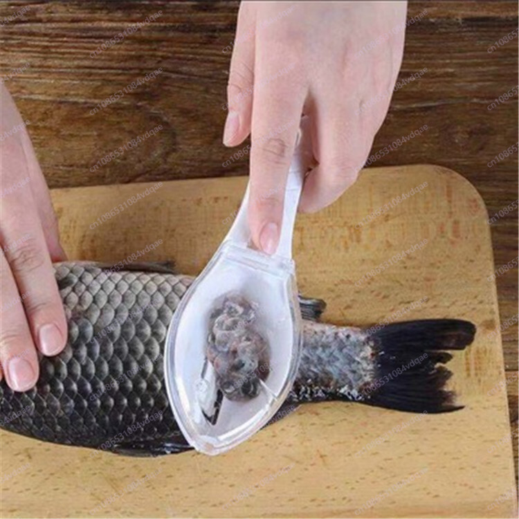 人気の魚の鱗取り器（カバー付き）、プラスチック製手動魚の鱗取 - Kitchen Gadgets Popular のレビューと価格
